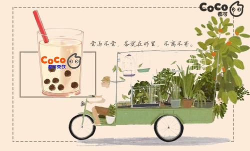 Coco都可官网加盟